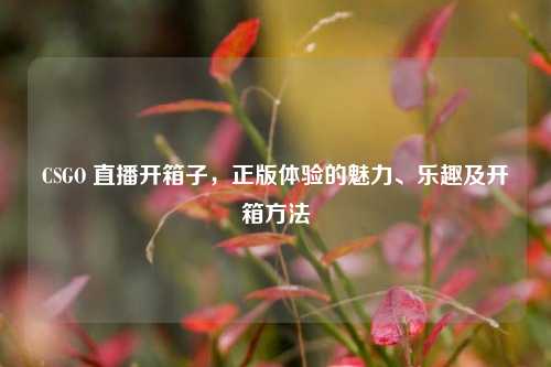 CSGO 直播开箱子，正版体验的魅力、乐趣及开箱方法