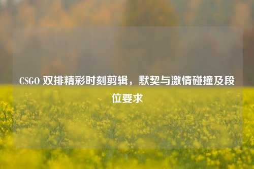 CSGO 双排精彩时刻剪辑，默契与激情碰撞及段位要求