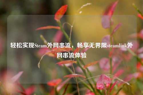轻松实现Steam外网串流，畅享无界限steamlink外网串流体验