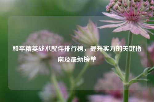 和平精英战术配件排行榜,提升实力的关键指南及最新榜单