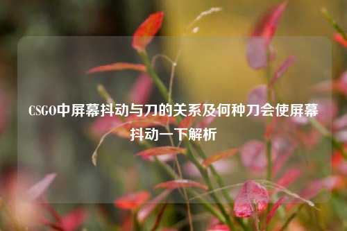 CSGO中屏幕抖动与刀的关系及何种刀会使屏幕抖动一下解析