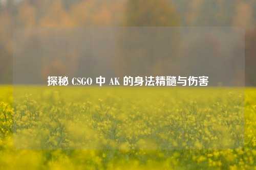 探秘 CSGO 中 AK 的身法精髓与伤害