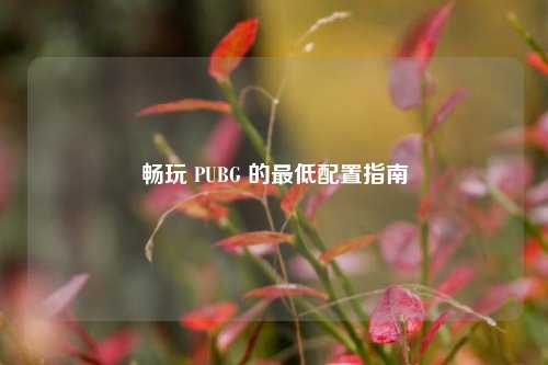 畅玩 PUBG 的最低配置指南