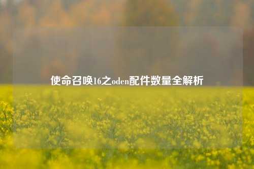 使命召唤16之oden配件数量全解析