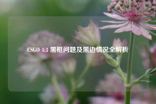 CSGO 4:3 黑框问题及黑边情况全解析