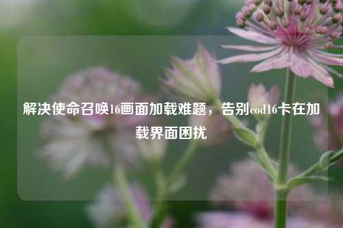 解决使命召唤16画面加载难题，告别cod16卡在加载界面困扰