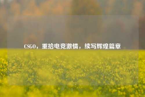 CSGO,重拾电竞激情,续写辉煌篇章