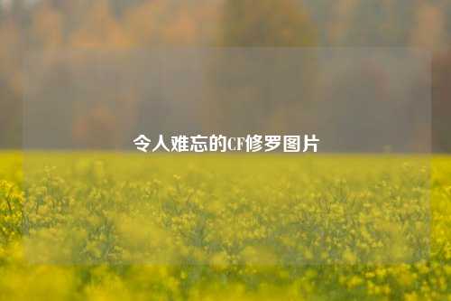 令人难忘的CF修罗图片