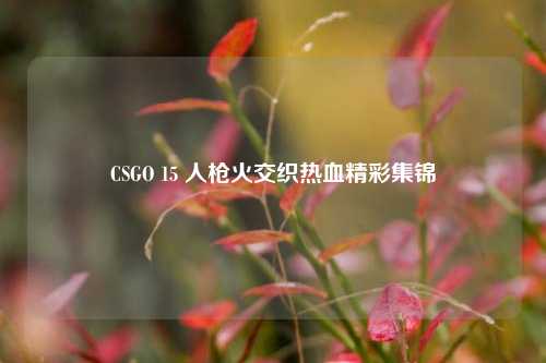 CSGO 15 人枪火交织热血精彩集锦