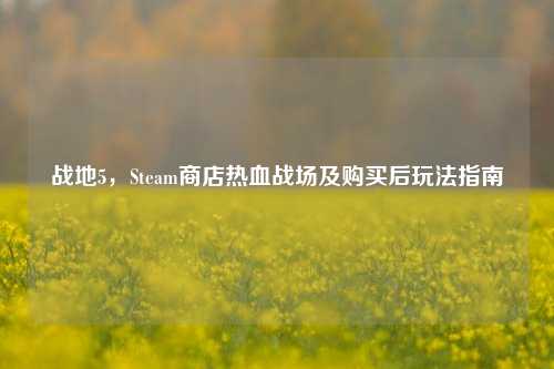 战地5,Steam商店热血战场及购买后玩法指南