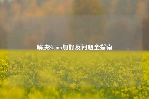 解决Steam加好友问题全指南