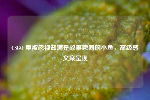CSGO 里被忽视却满是故事瞬间的小鱼，高级感文案呈现
