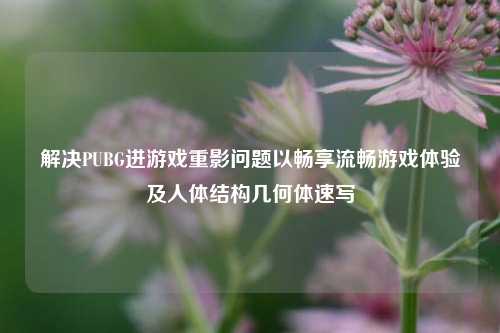 解决PUBG进游戏重影问题以畅享流畅游戏体验及人体结构几何体速写