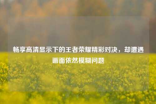 畅享高清显示下的王者荣耀精彩对决,却遭遇画面依然模糊问题