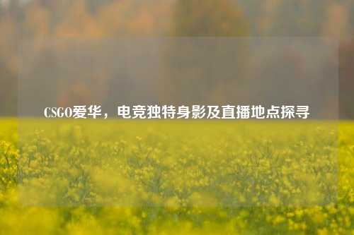 CSGO爱华,电竞独特身影及直播地点探寻