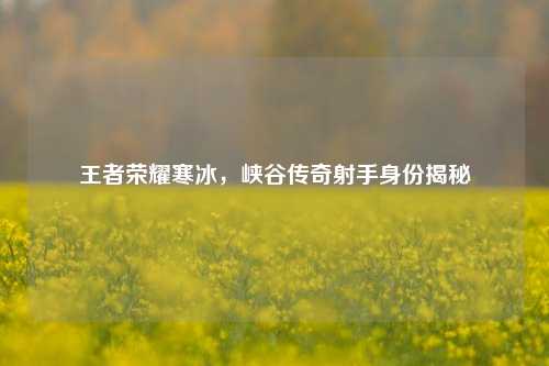 王者荣耀寒冰，峡谷传奇射手身份揭秘