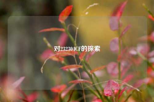 对232304CF的探索