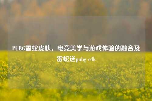 PUBG雷蛇皮肤,电竞美学与游戏体验的融合及雷蛇送pubg cdk