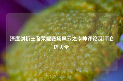 深度剖析王者荣耀赛场风云之卡帅评论及评论语大全