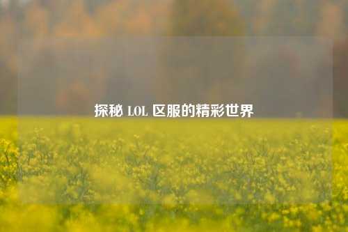 探秘 LOL 区服的精彩世界