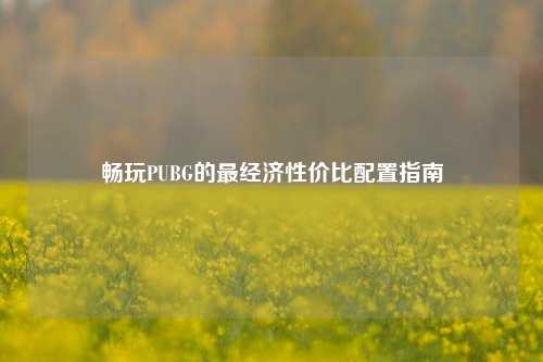 畅玩PUBG的最经济性价比配置指南