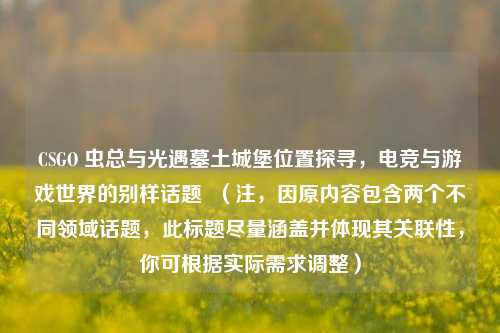 CSGO 虫总与光遇墓土城堡位置探寻,电竞与游戏世界的别样话题 (注,因原内容包含两个不同领域话题,此标题尽量涵盖并体现其关联性,你可根据实际需求调整)