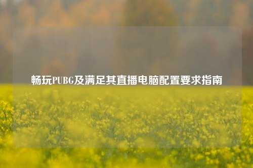 畅玩PUBG及满足其直播电脑配置要求指南