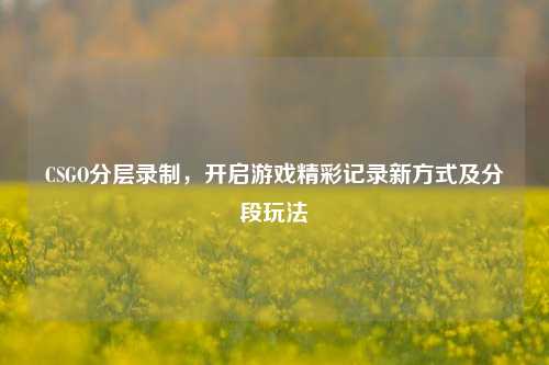 CSGO分层录制,开启游戏精彩记录新方式及分段玩法