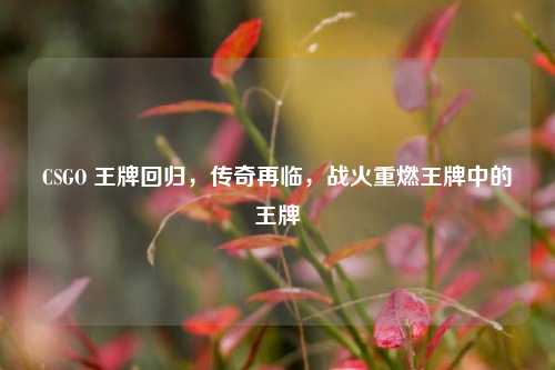 CSGO 王牌回归,传奇再临,战火重燃王牌中的王牌