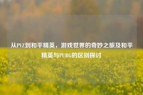 从PVZ到和平精英,游戏世界的奇妙之旅及和平精英与PUBG的区别探讨