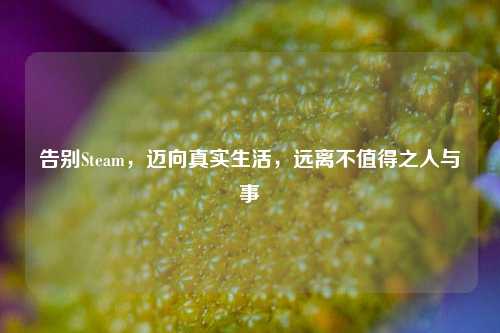 告别Steam,迈向真实生活,远离不值得之人与事