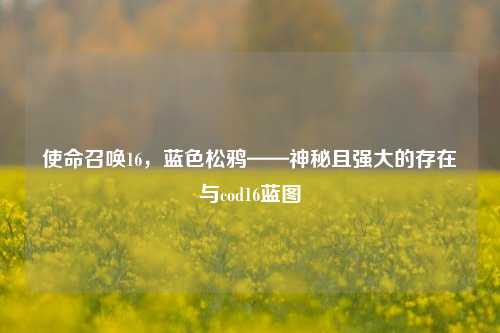 使命召唤16,蓝色松鸦——神秘且强大的存在与cod16蓝图