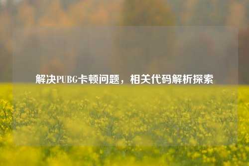 解决PUBG卡顿问题,相关代码解析探索