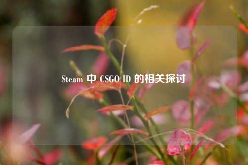 Steam 中 CSGO ID 的相关探讨