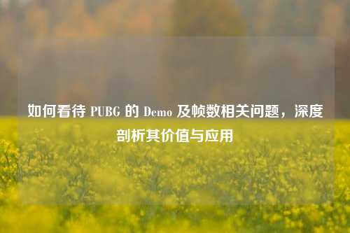 如何看待 PUBG 的 Demo 及帧数相关问题,深度剖析其价值与应用