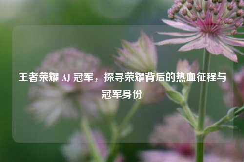 王者荣耀 AJ 冠军,探寻荣耀背后的热血征程与冠军身份