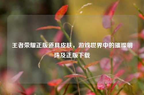 王者荣耀正版道具皮肤,游戏世界中的璀璨明珠及正版下载