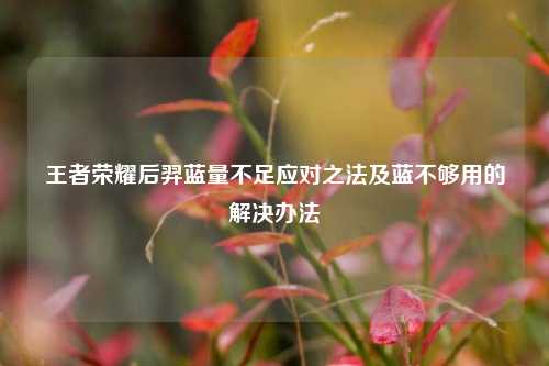 王者荣耀后羿蓝量不足应对之法及蓝不够用的解决办法