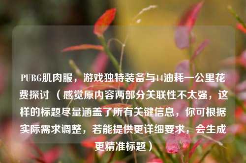 PUBG肌肉服，游戏独特装备与14油耗一公里花费探讨 （感觉原内容两部分关联性不太强，这样的标题尽量涵盖了所有关键信息，你可根据实际需求调整，若能提供更详细要求，会生成更精准标题）