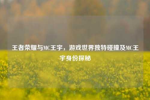 王者荣耀与MC王宇,游戏世界独特碰撞及MC王宇身份探秘