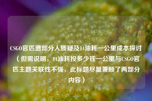 CSGO官匹遭部分人质疑及14油耗一公里成本探讨 (但需说明,14油耗投多少钱一公里与CSGO官匹主题关联性不强,此标题尽量兼顾了两部分内容)
