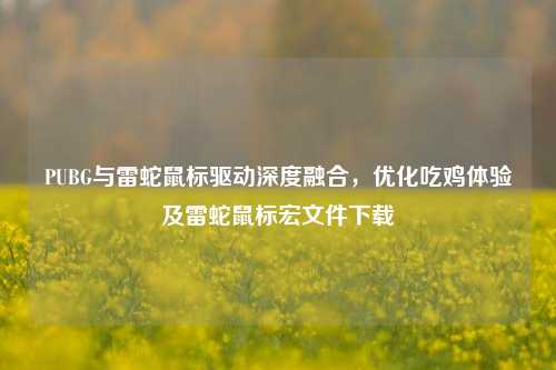 PUBG与雷蛇鼠标驱动深度融合,优化吃鸡体验及雷蛇鼠标宏文件下载