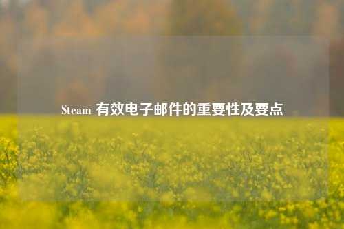 Steam 有效电子邮件的重要性及要点