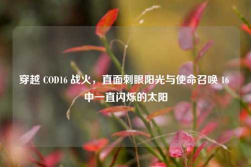 穿越 COD16 战火，直面刺眼阳光与使命召唤 16 中一直闪烁的太阳
