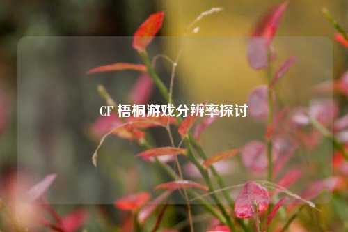 CF 梧桐游戏分辨率探讨