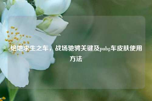绝地求生之车,战场驰骋关键及pubg车皮肤使用方法