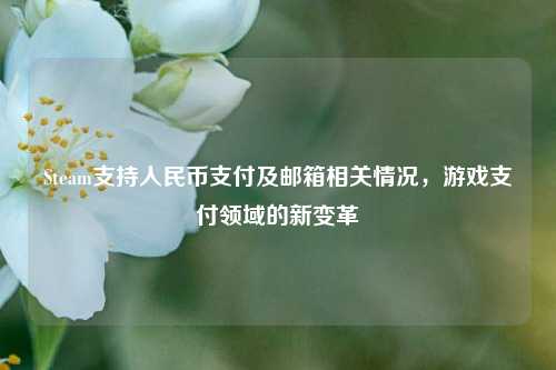 Steam支持人民币支付及邮箱相关情况,游戏支付领域的新变革