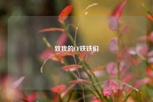 致我的CF铁铁们