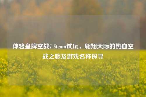 体验皇牌空战7 Steam试玩，翱翔天际的热血空战之旅及游戏名称探寻