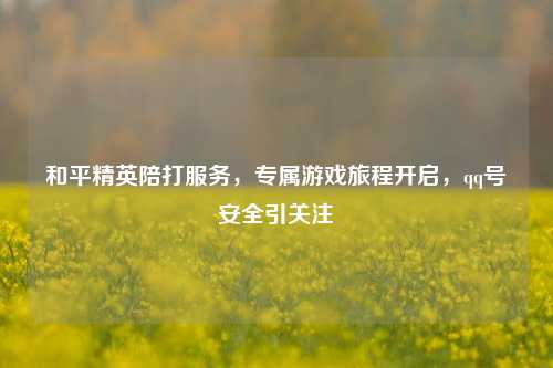 和平精英陪打服务，专属游戏旅程开启，qq号安全引关注